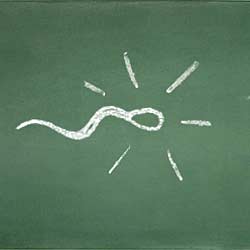 Can Your Sperm Tell You Something?