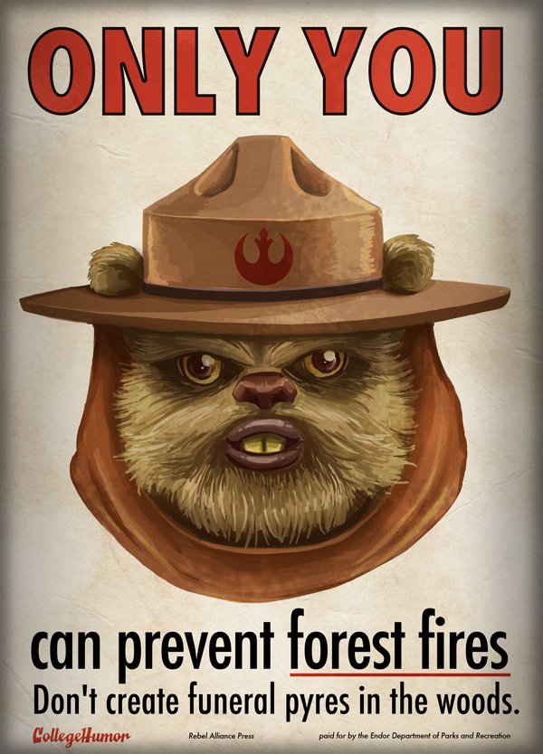 ewok slippers