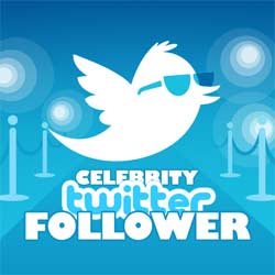 Celebrity Twitterer Followers???