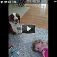 dog-babysitter-tn