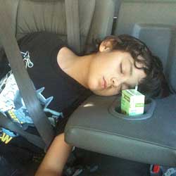 Max fallen asleep in the car