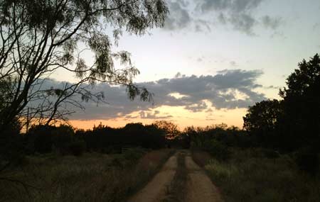 texas-sky