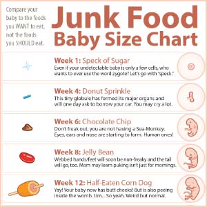 Fetus Size Fruit Chart