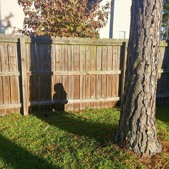 Shadow Toddler Hide and Go Seek Ninjas