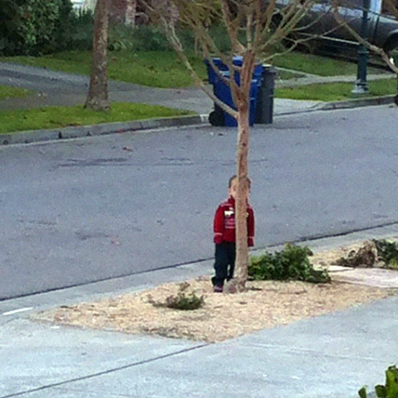 Tree Toddler Hide and Go Seek Ninjas