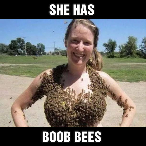 dad jokes hall of shame in real life puns visual dad jokes boob bees