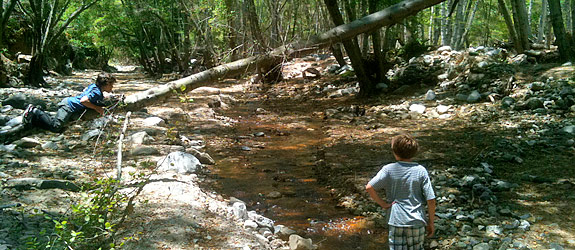 The Call of the Wild: Hiking with my boys