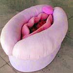 vagina couch