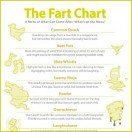 The Fart Chart Funny Infographic