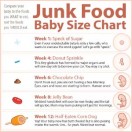 Junk Food Baby Size Chart for Pregnancy