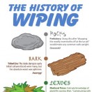 The History of Wiping