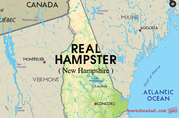 Real-Hampster
