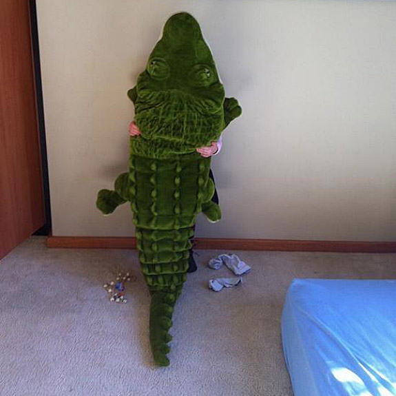 Alligator Stuffed Animal Hide and Go Seek Ninjas