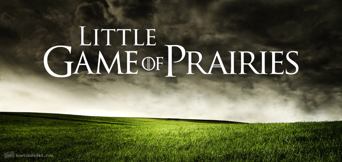 Little-Game-of-Prairies