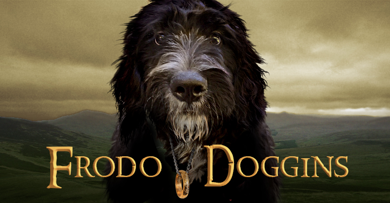 HowWeFamily-Frodo-Doggins-header
