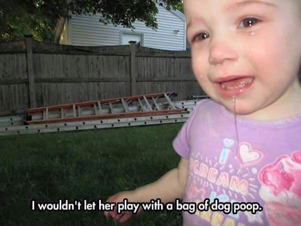 reasonmykidiscrying-dogpoop