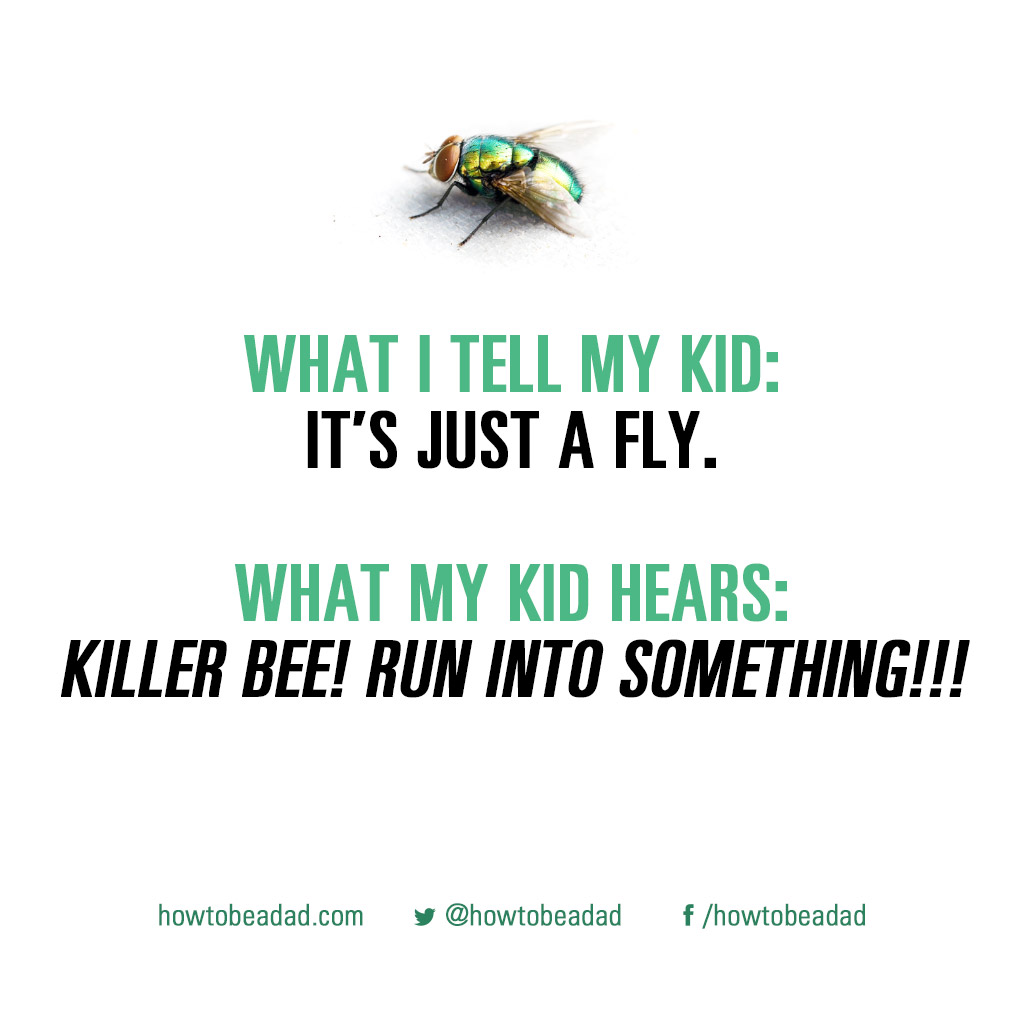 what-i-tell-my-kid-killerbee