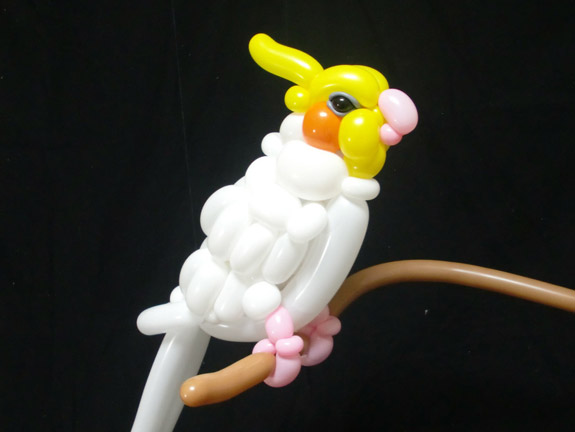 balloon-cockateel