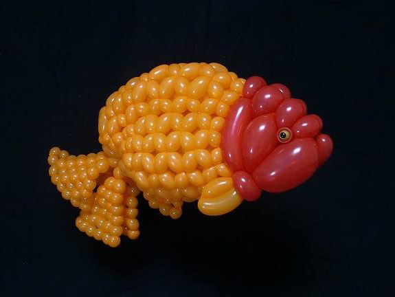 balloon-fish