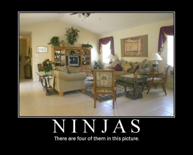 ninjas-in-this-room