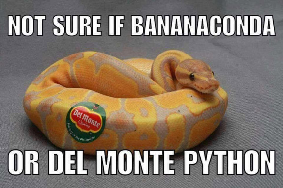 dad jokes hall of shame in real life puns visual dad jokes bananaconda del montey python