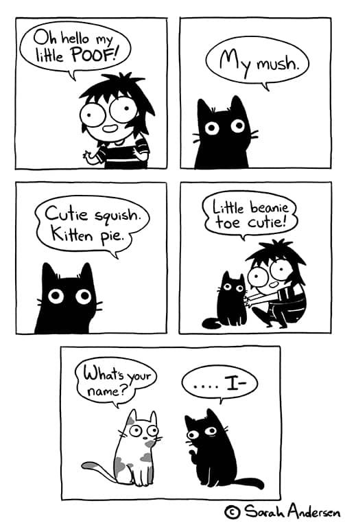 HowToBeADad.com – Dogs vs Cats, 18 Funny Comics